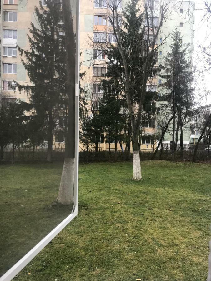 Etoile Studio Брашов Экстерьер фото